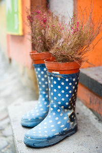 Potted plants in boots on steps