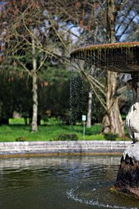 Pond in park