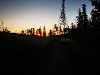 Scenic view of silhouette trees against sky during sunset