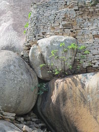 Old stone wall