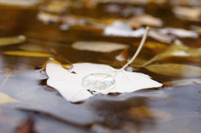 Close-up of water