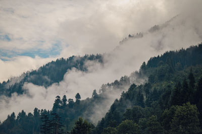 Panoramic view of landscape against sky