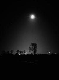 Silhouette trees on field against clear sky at night