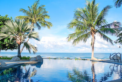 Palm tree by swimming pool against sky