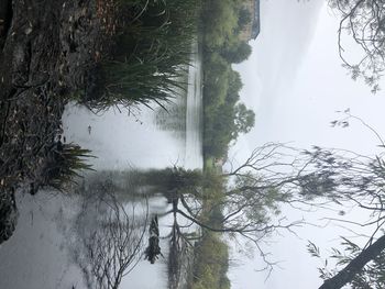 Reflection of trees in lake against sky