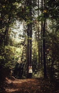 Rear view of man standing by trees in forest