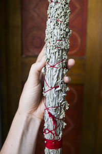 Cropped image of hand holding tied herb