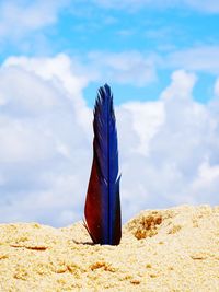 Close-up of feather on rock against sky