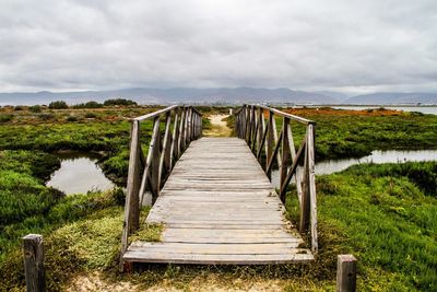 View of footbridge along plants