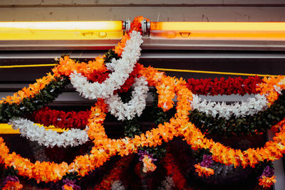 Low angle view of floral garland