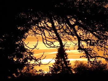 Silhouette trees against sky during sunset