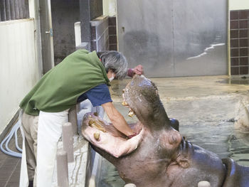 Man feeding horse