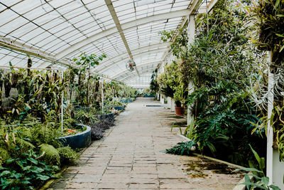 greenhouse