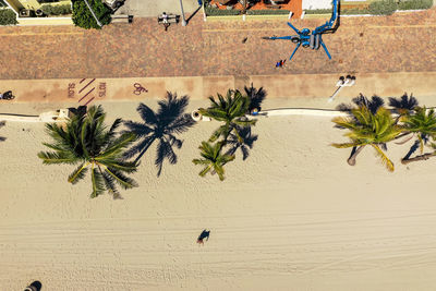 Aerial view of a beach