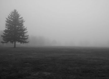 Scenic view of landscape in foggy weather