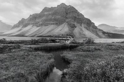 A bridge to the beauty of nature at bow lake in banff national park, alberta, canada