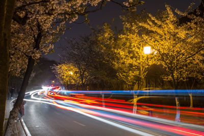 Light trails on road against sky at night