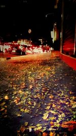Autumn leaves on street at night