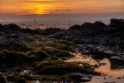 Scenic view of sea against orange sky