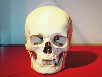 Close-up of human skull