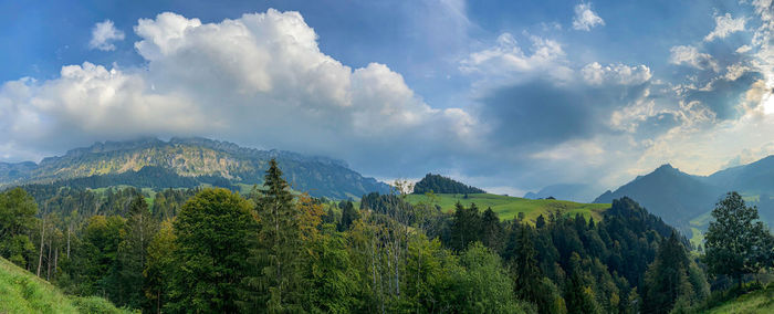 Panoramic view of trees and mountains against sky