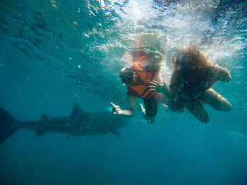 People swimming in sea