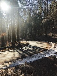 Road amidst trees in forest during winter