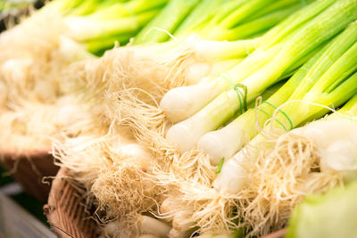 High angle view of vegetables
