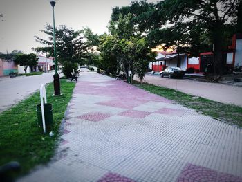 Road by trees in city against sky