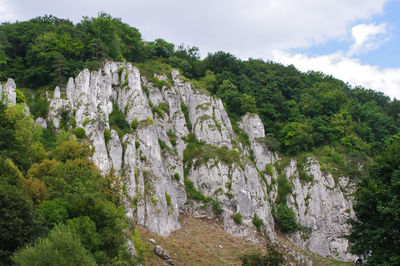 Scenic view of waterfall in forest against sky