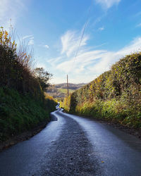 Road amidst plants and trees against sky