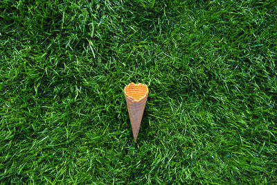 High angle view of bread on field