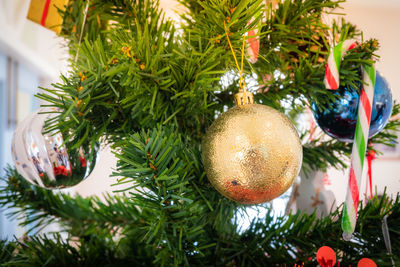 Close-up of christmas decoration hanging on tree
