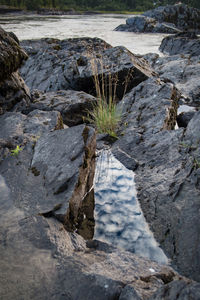 High angle view of rocks in water