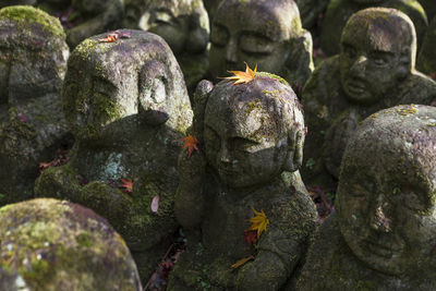 Close-up of buddha statue on rock