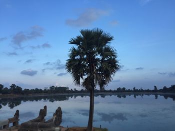 Scenic view of trees against sky