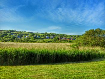 Scenic view of grassy field against cloudy sky