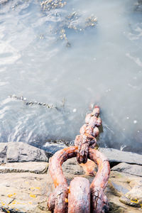 High angle view of chain on rocks in sea