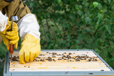 Midsection of man holding plant