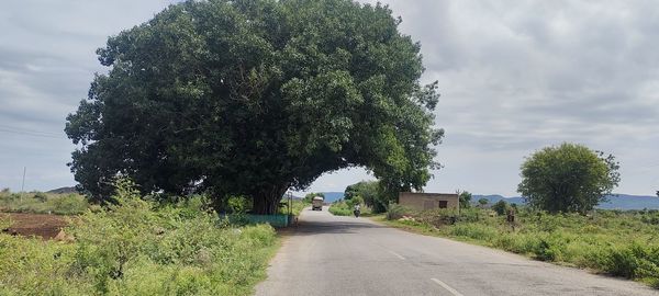 Road amidst trees against sky