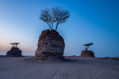 Dead tree on rock formation against clear blue sky