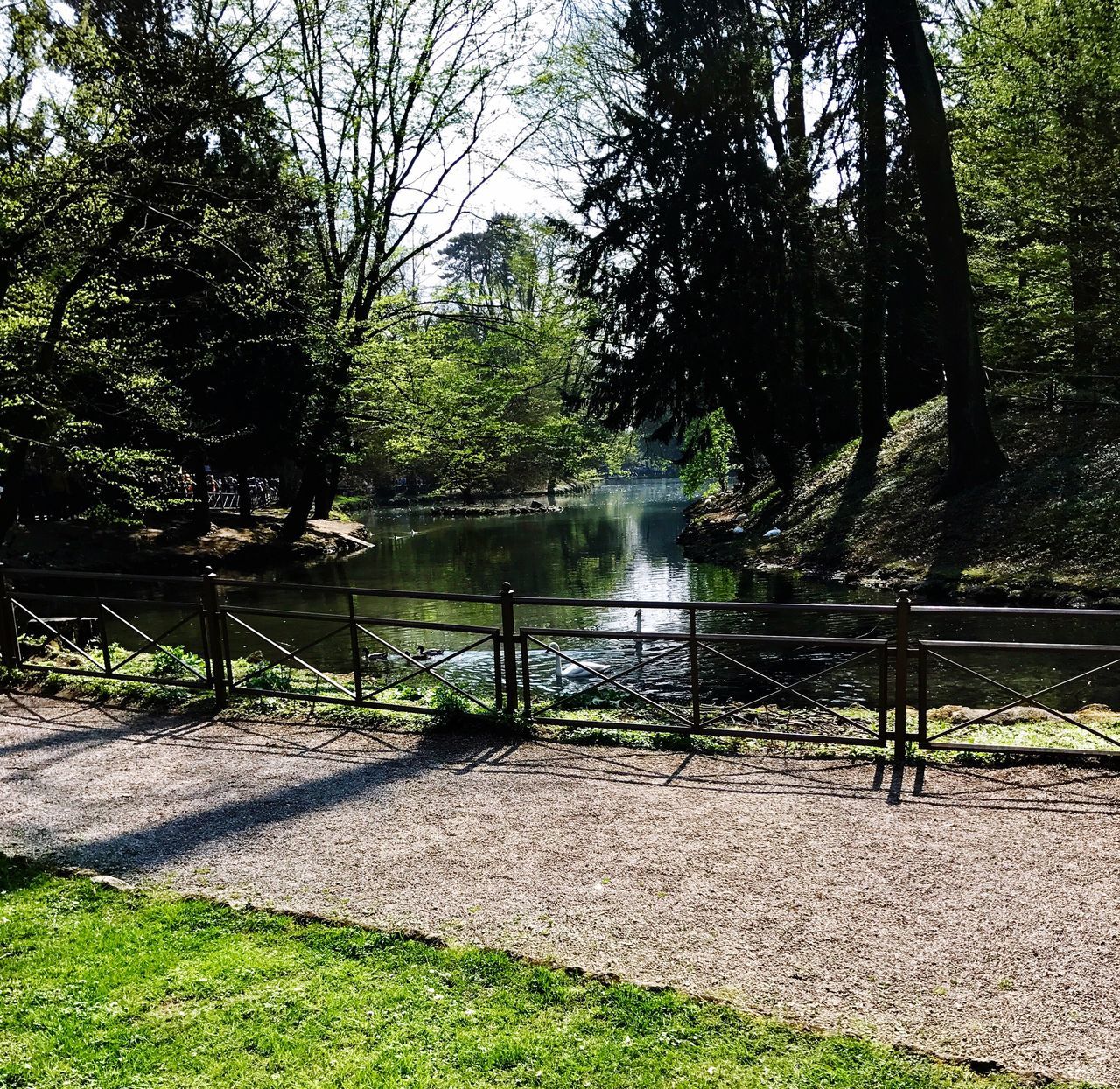 tree, nature, growth, no people, beauty in nature, tranquility, outdoors, water, day, sky