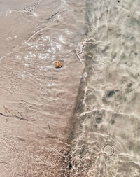sand