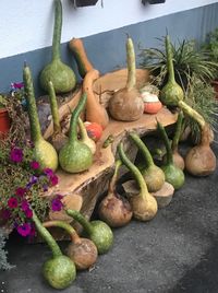 High angle view of vegetables