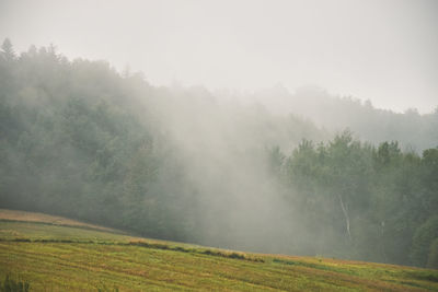 Scenic view of field against sky during foggy weather