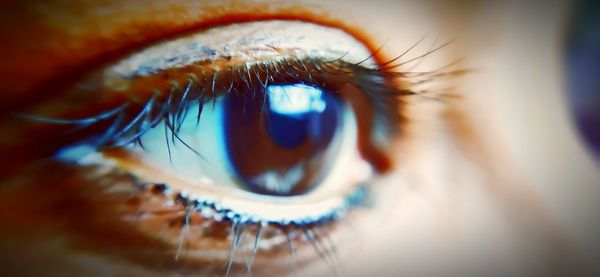 Extreme close-up of human eye