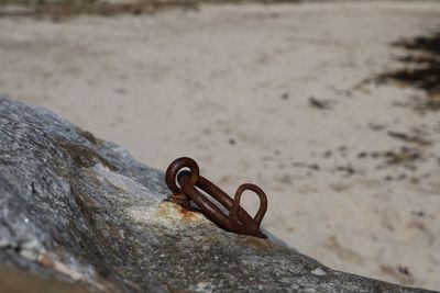 Close-up of rusty chain on rock