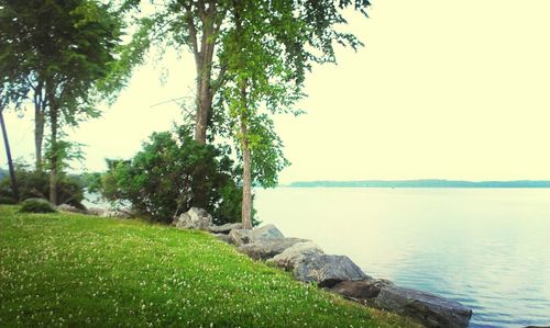 Scenic view of lake