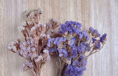 Close-up of purple flowering plants
