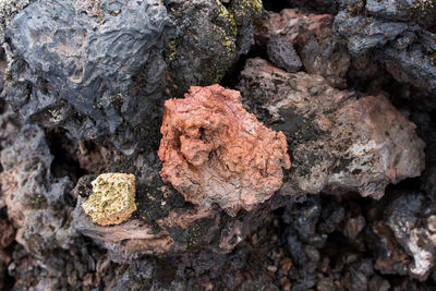 Rocks on rocky surface